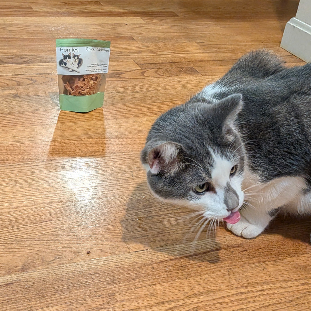 Crispy Chicken - Cat Treats