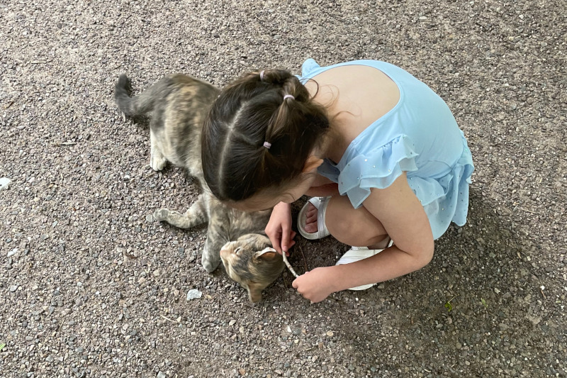 Sailor, a tortoiseshell cat outdoors